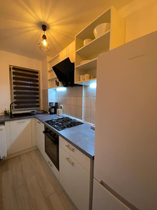 Black& White Apartment Brașov